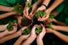 young green hands